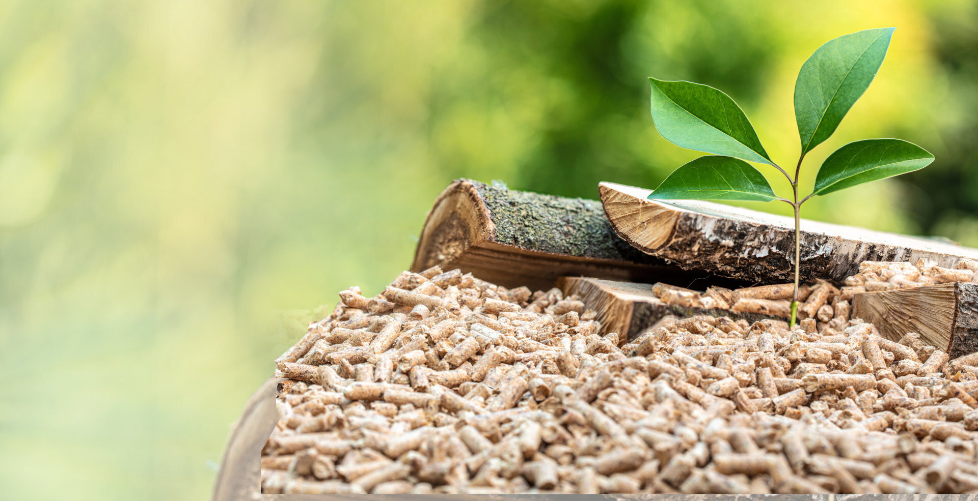 Biomasa oraz tereny zielone