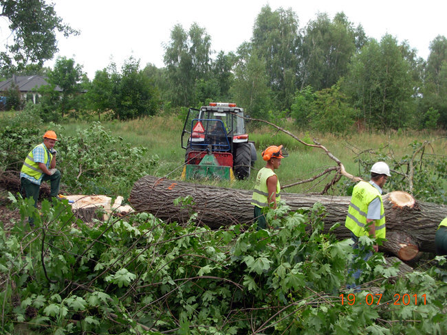 Droga wojewódzka nr 184 Pamiątkowo - Przeźmierowo